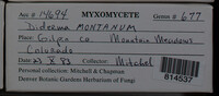 Image Associated With the Occurence